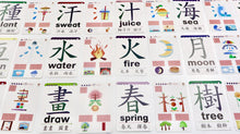 Load image into Gallery viewer, 【第一輯】觸感全腦圖像中英文字卡 1至150字 Traditional Chinese with English Flashcards Set 1 (Beginner)