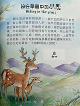 將圖片載入圖庫檢視器 千奇百趣話你知 : 動物篇 (附漢語拼音/中英對照) Thousands of Wonders and Hundreds of Interests You Know: Animals (with Pinyin/Chinese-English bilingual)
