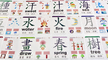 將圖片載入圖庫檢視器 【第一輯】觸感全腦圖像中英文字卡 1至150字 Traditional Chinese with English Flashcards Set 1 (Beginner)

